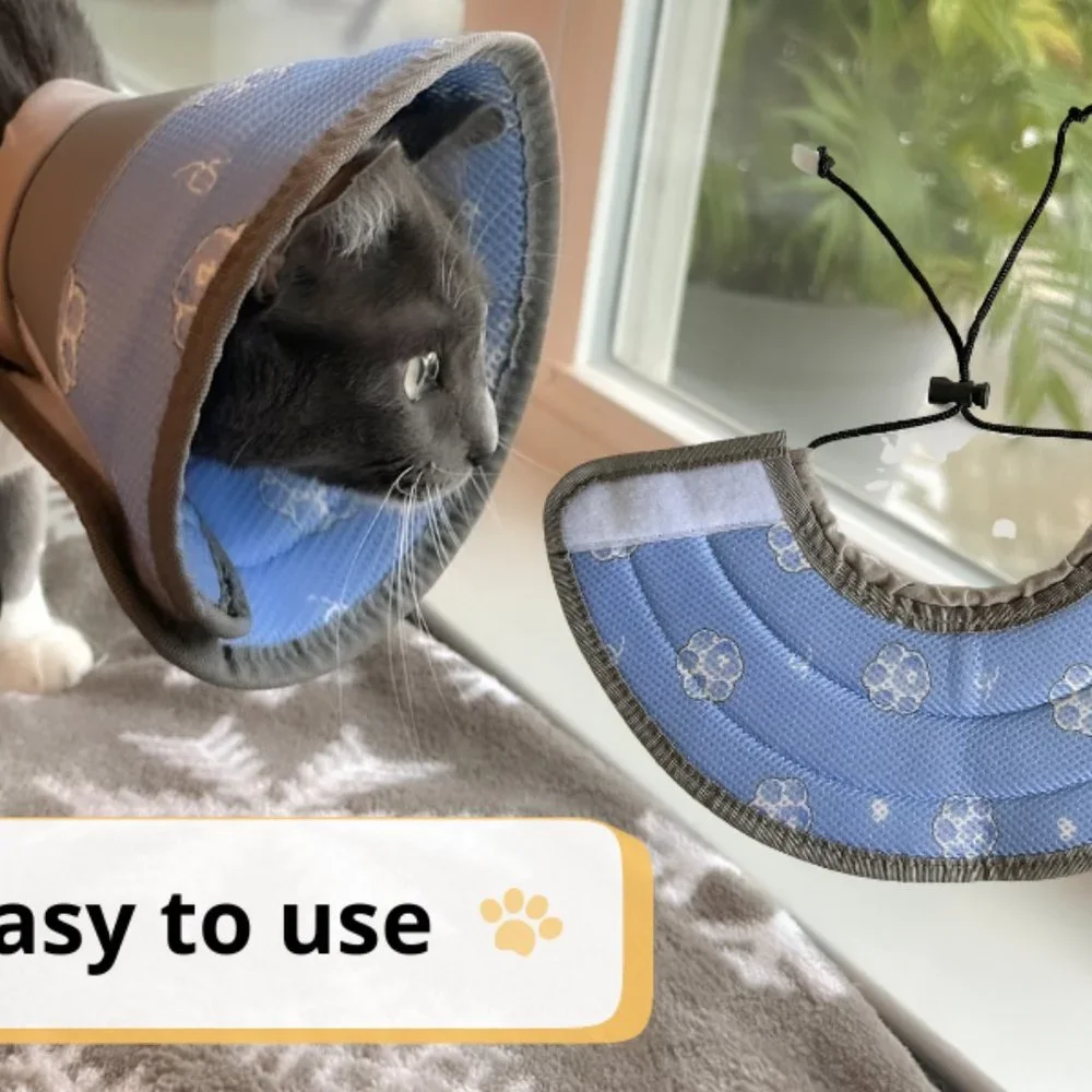 Soft Cat Cone Collar, for Small Kittens Young Cats, E Collar for Cats, cat cone
